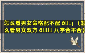 怎么看男女命格配不配 🐡 （怎么看男女双方 🐝 八字合不合）